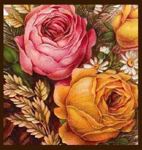   Questions & Answers   
  From Pauline's Creations    